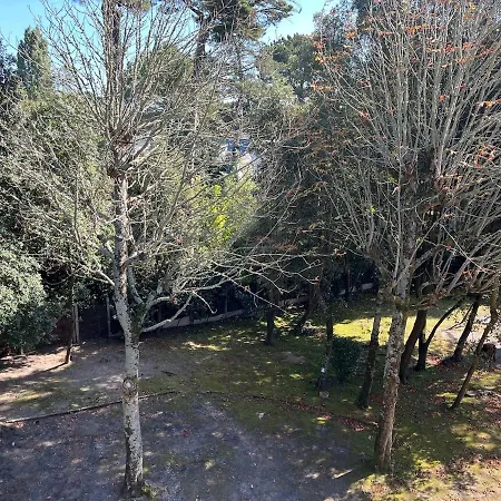 T3 Avec Superbe Terrasse, Coin Prisé De Appartement *