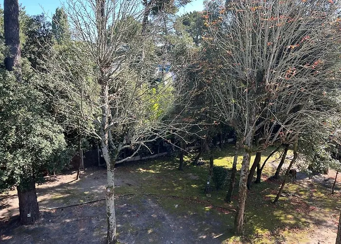 T3 Avec Superbe Terrasse, Coin Prisé De Appartement *