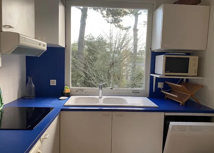 Appartement T3 Avec Superbe Terrasse, Coin Prisé De